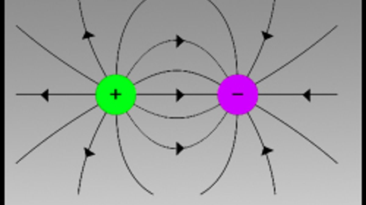 Electric charges and fields(part 2)